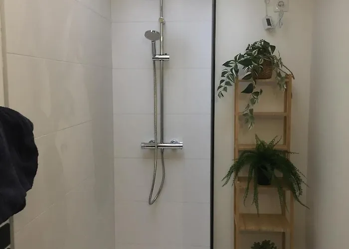 Cosy - Clermont-fd - 2 J Girod